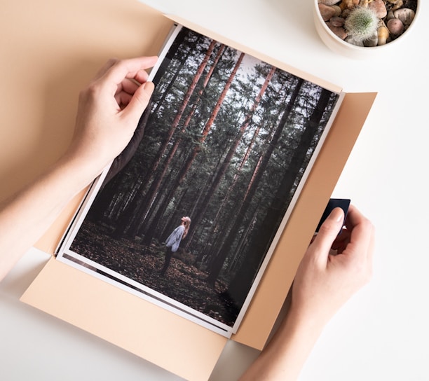 a person holding a photo of a forest