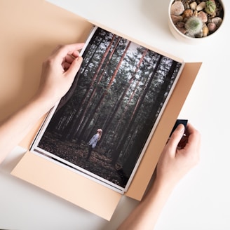 a person holding a photo of a forest