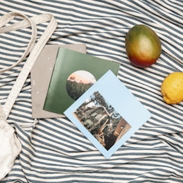 A striped blanket is spread out with a couple of magazines or booklets placed on top. One has a green cover with an image of a field, and another has a blue cover with a photo of a house. To the right of the booklets, a mango and a lemon are placed. A light-colored fabric strap is loosely draped on the blanket beside everything.