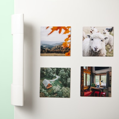 a refrigerator with four pictures of sheep on it