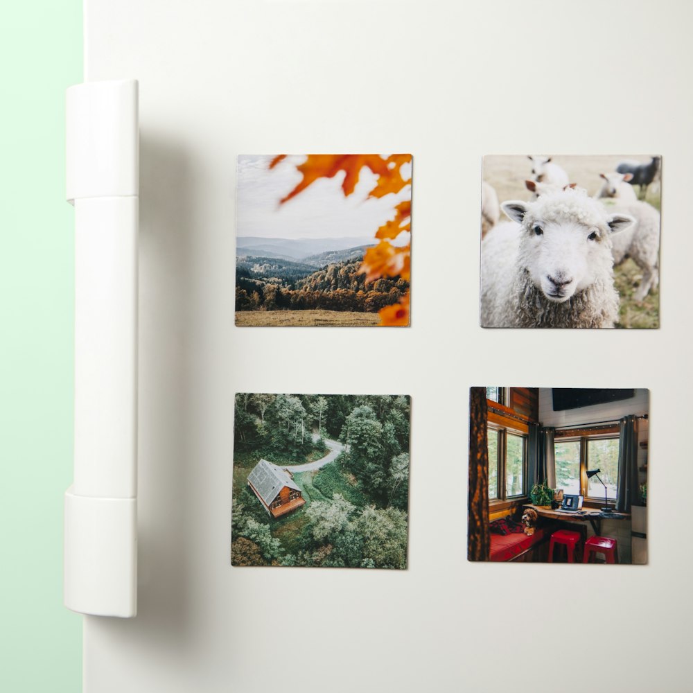 a refrigerator with four pictures of sheep on it
