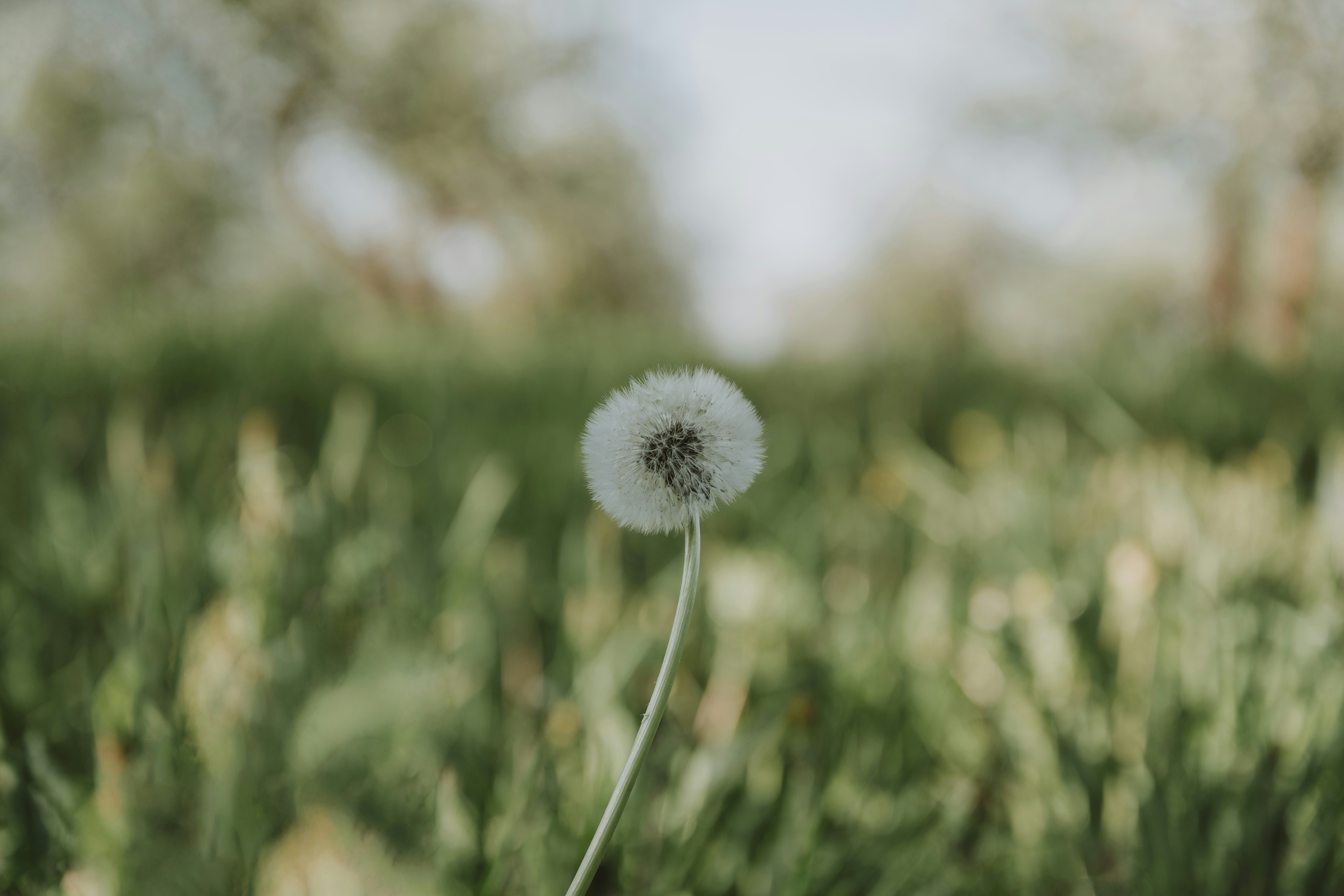 Photo by anitaaustvika