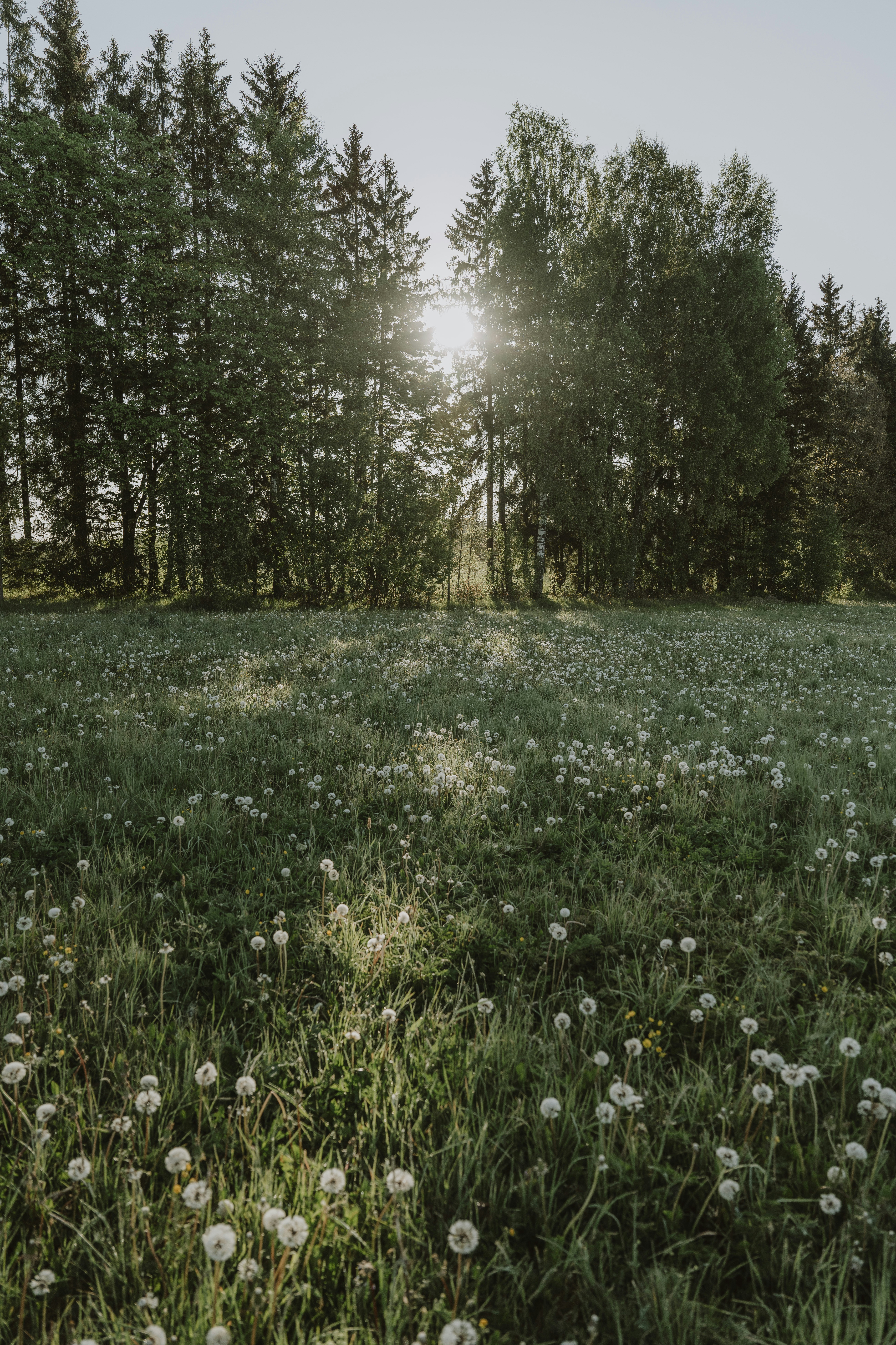 Photo by anitaaustvika