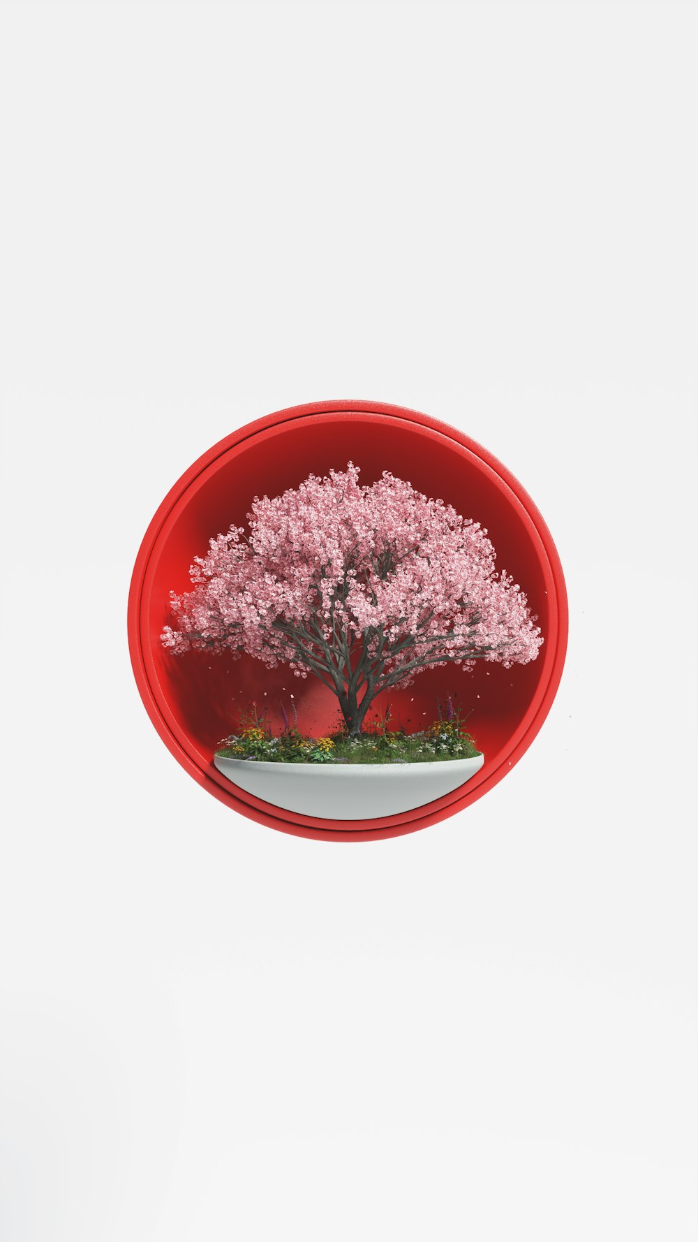 Ein Bonsaibaum in einer roten Schale auf weißem Hintergrund