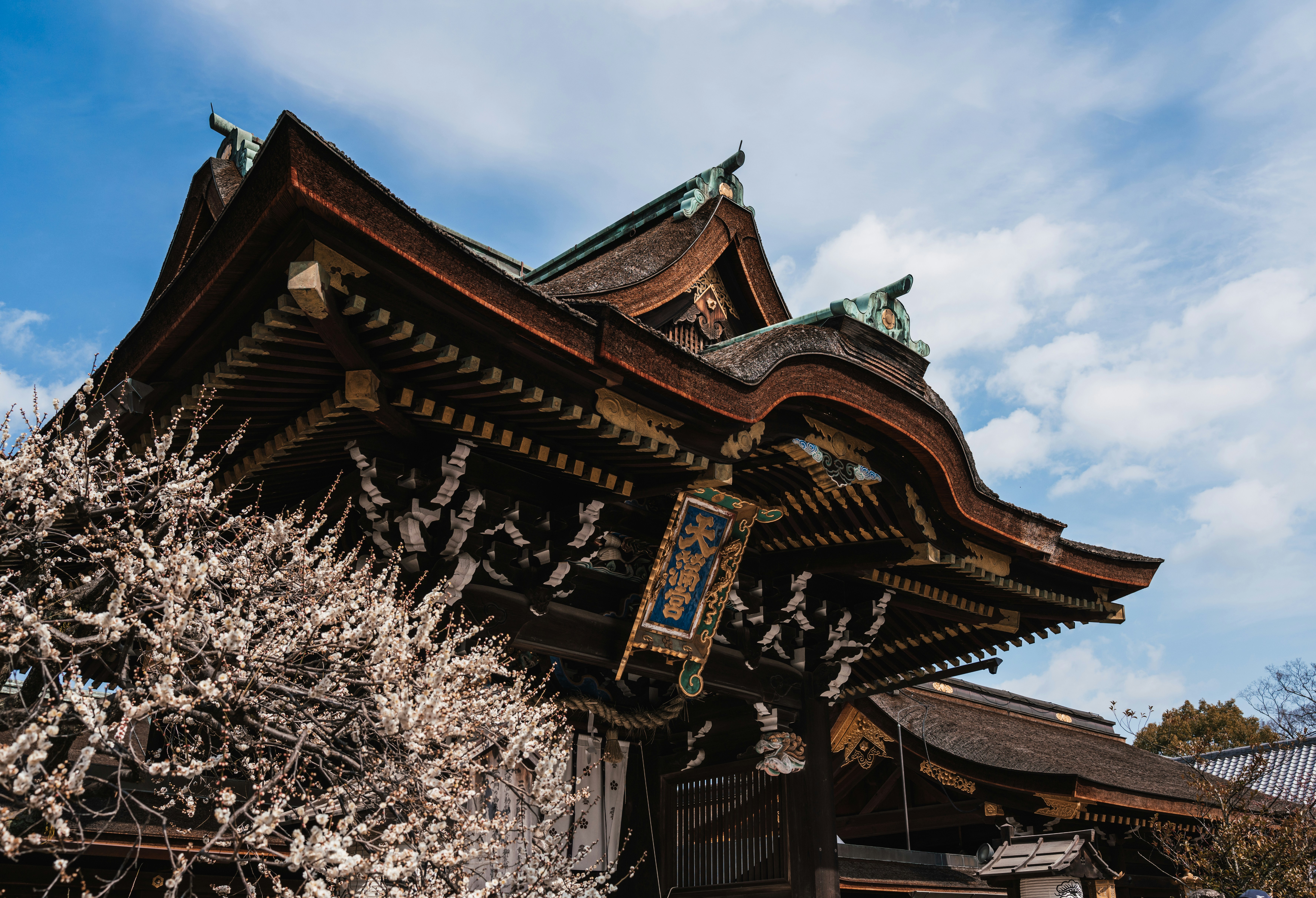 Photo by dianainjapan