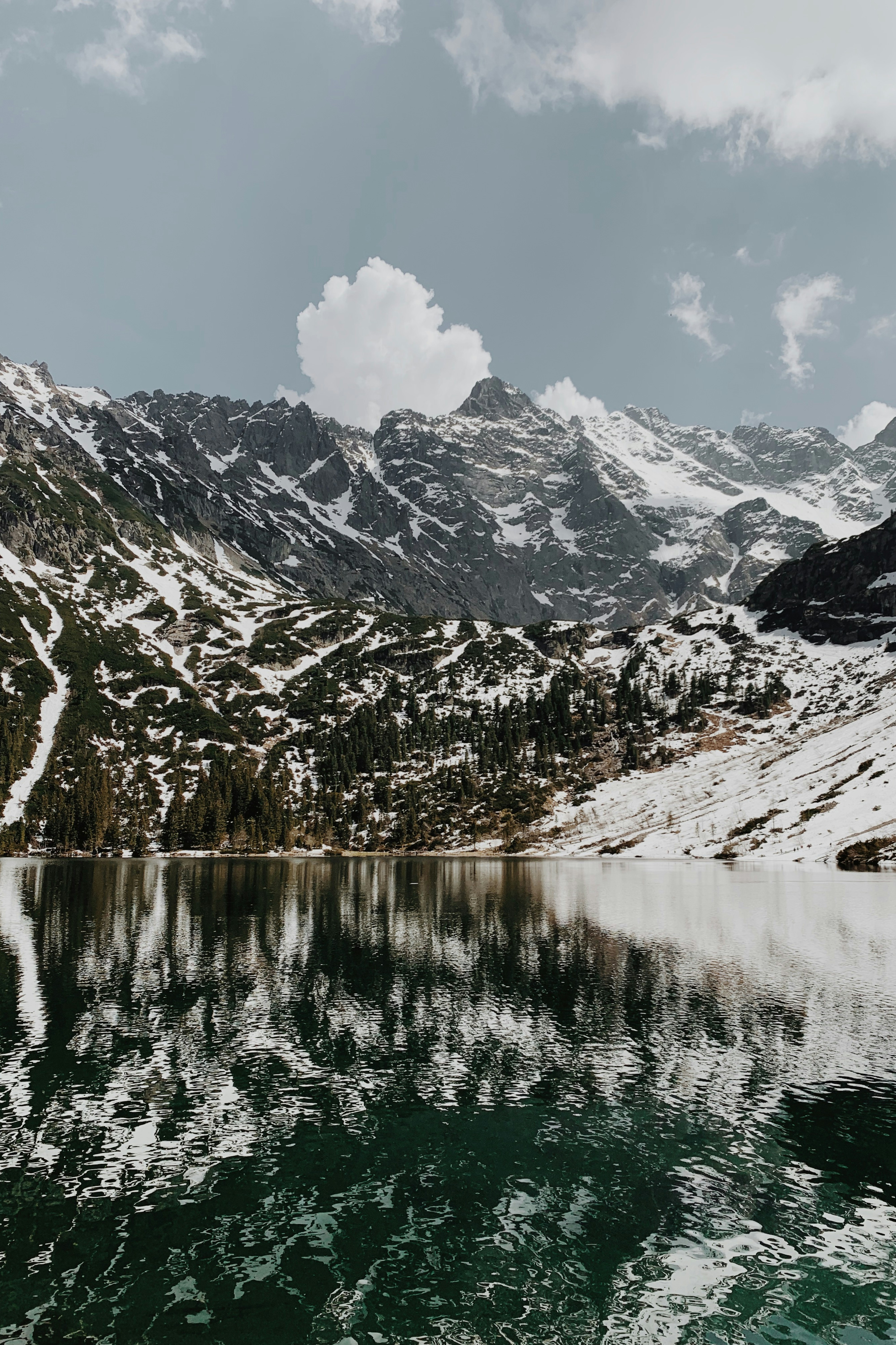 Photo by anhelinakotkova