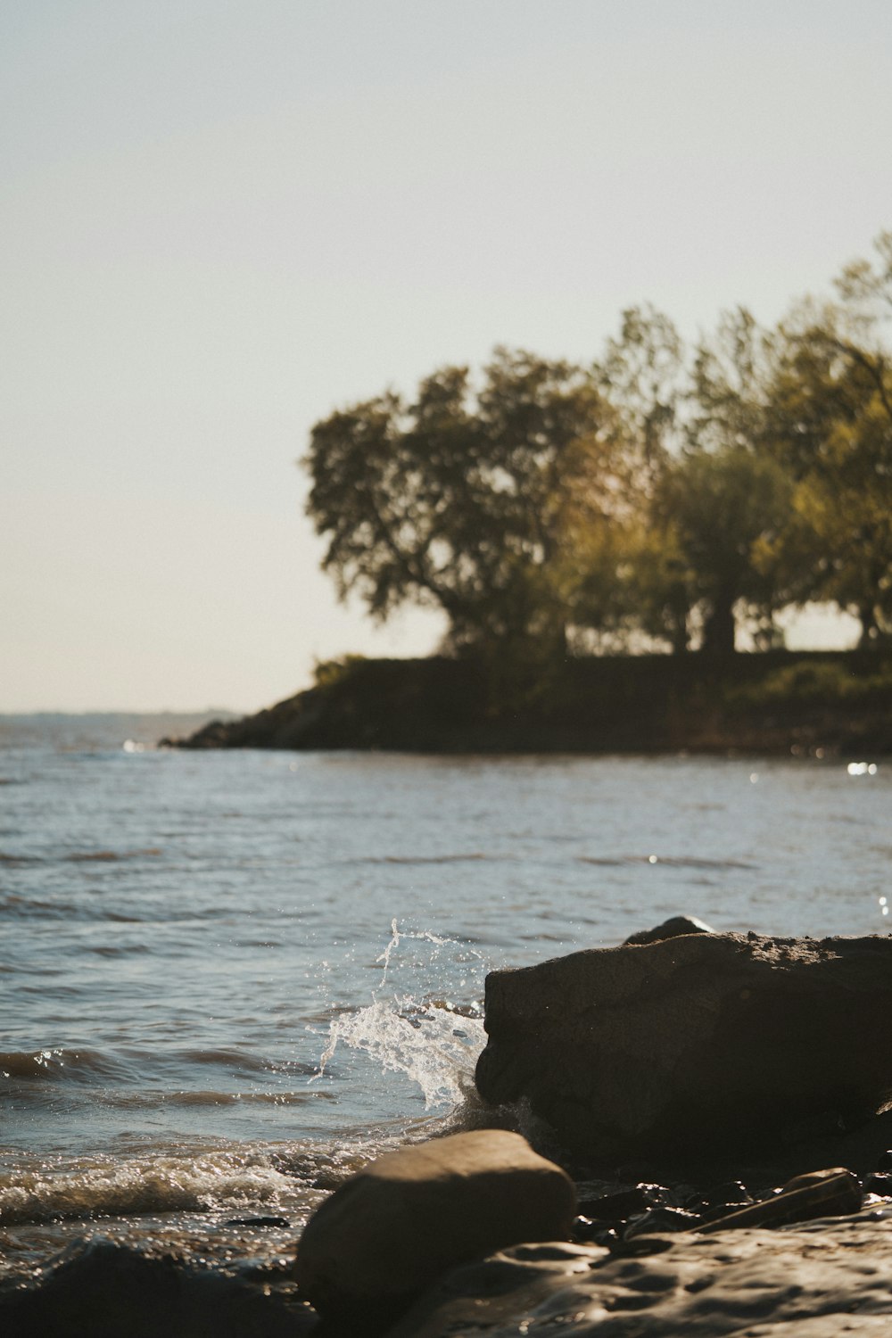 a bird is standing on a rock near the water