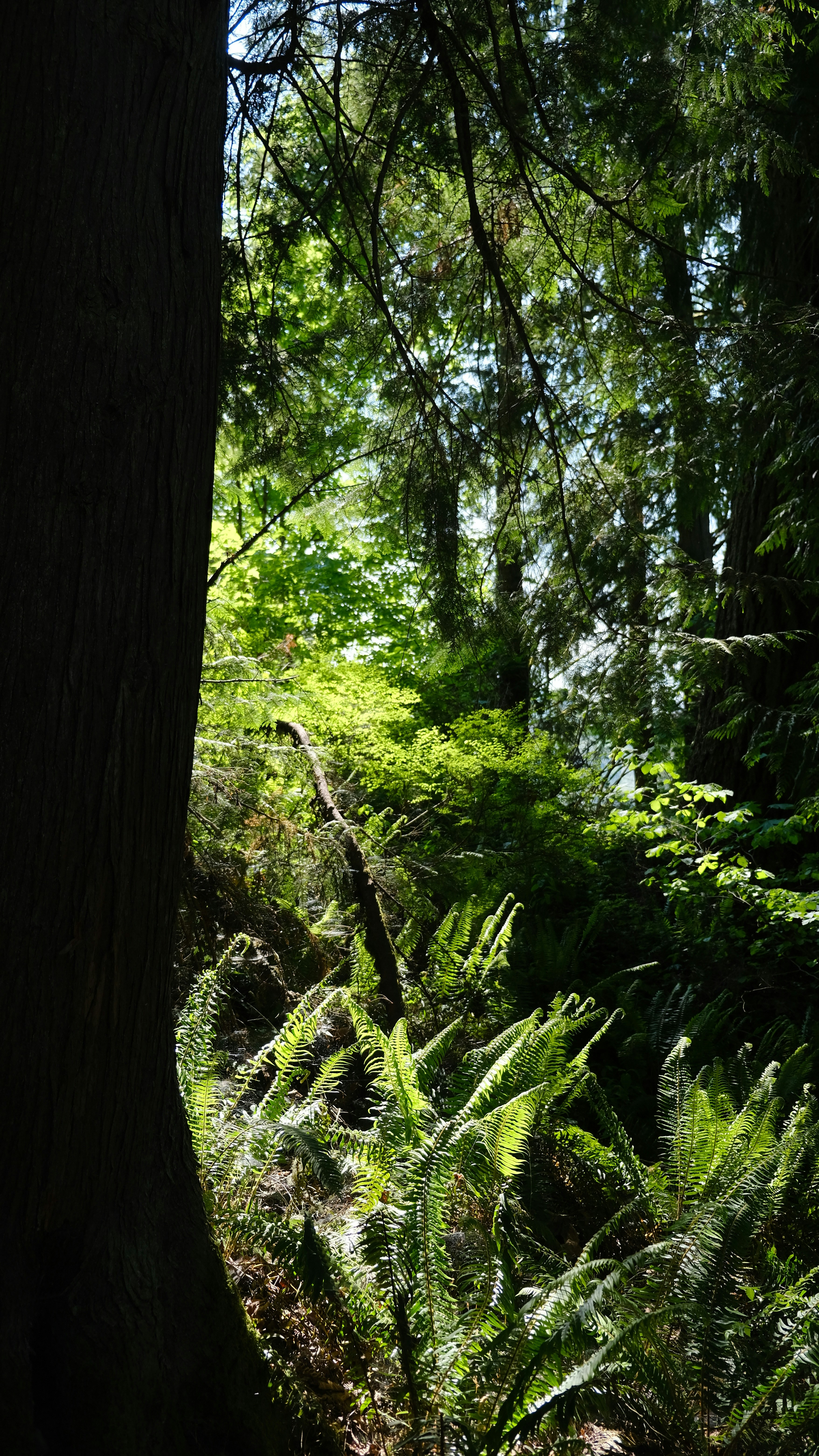 Photo by tomtheon1yone