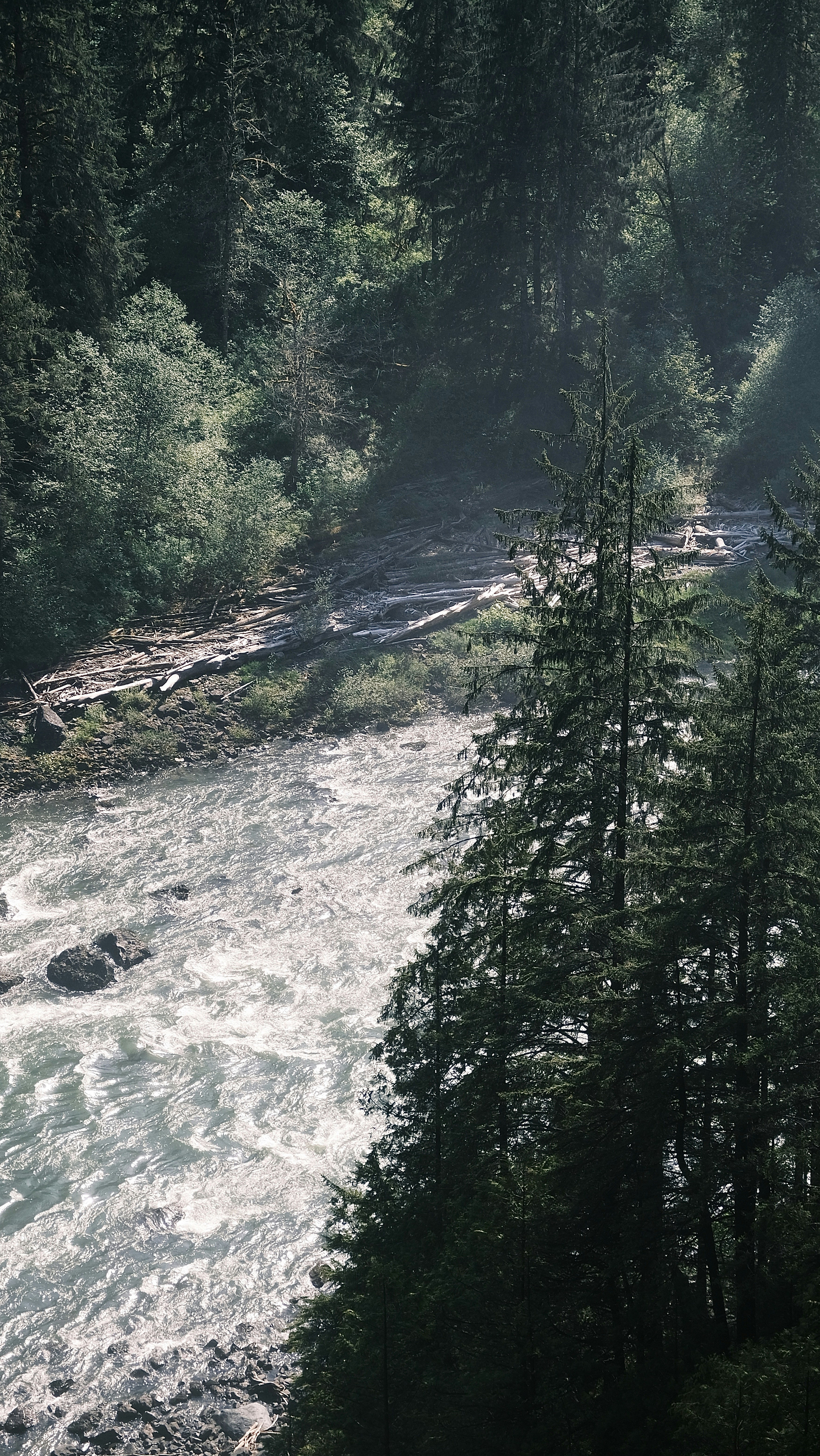 Photo by tomtheon1yone