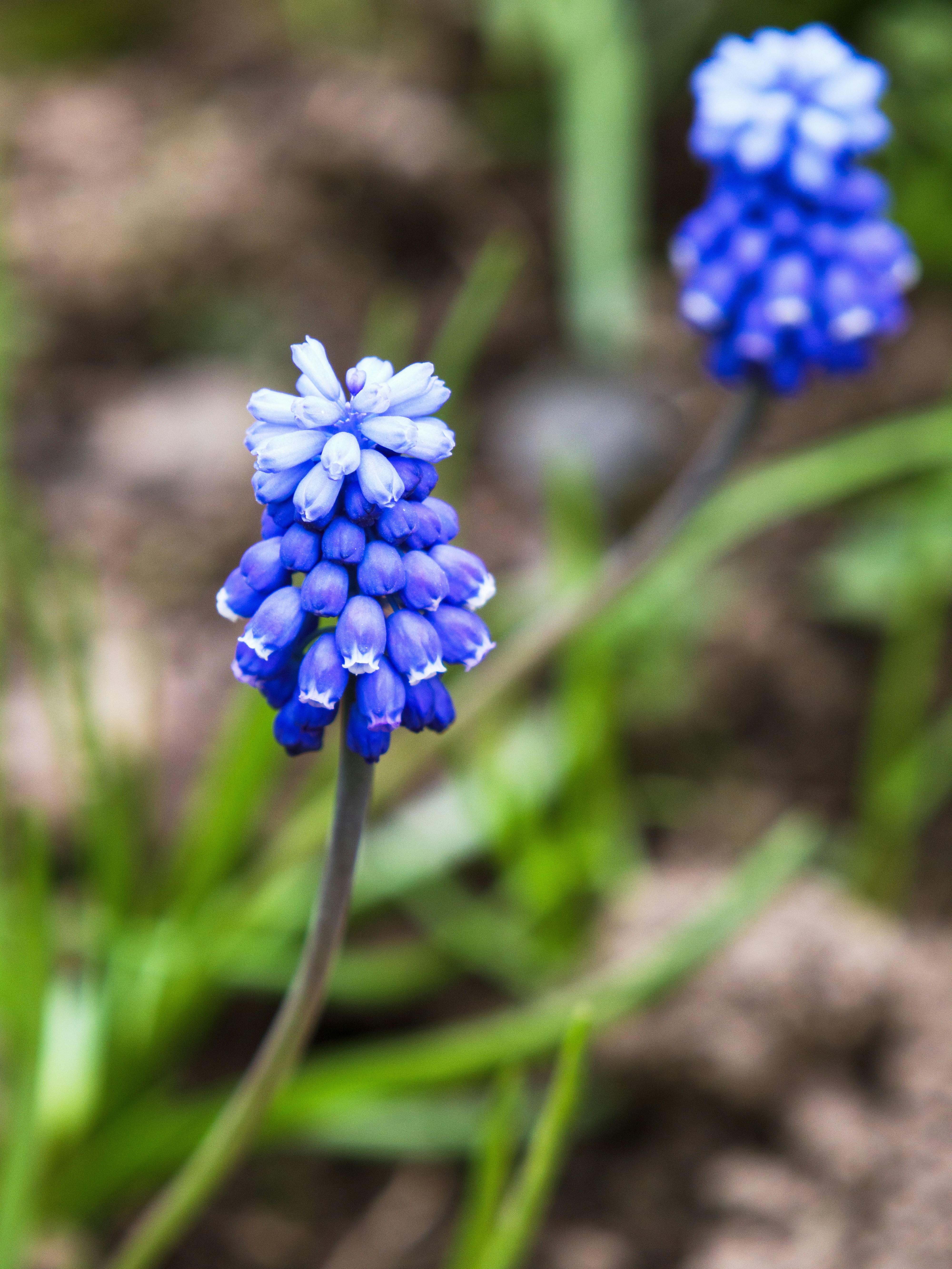 Photo by belle_julie