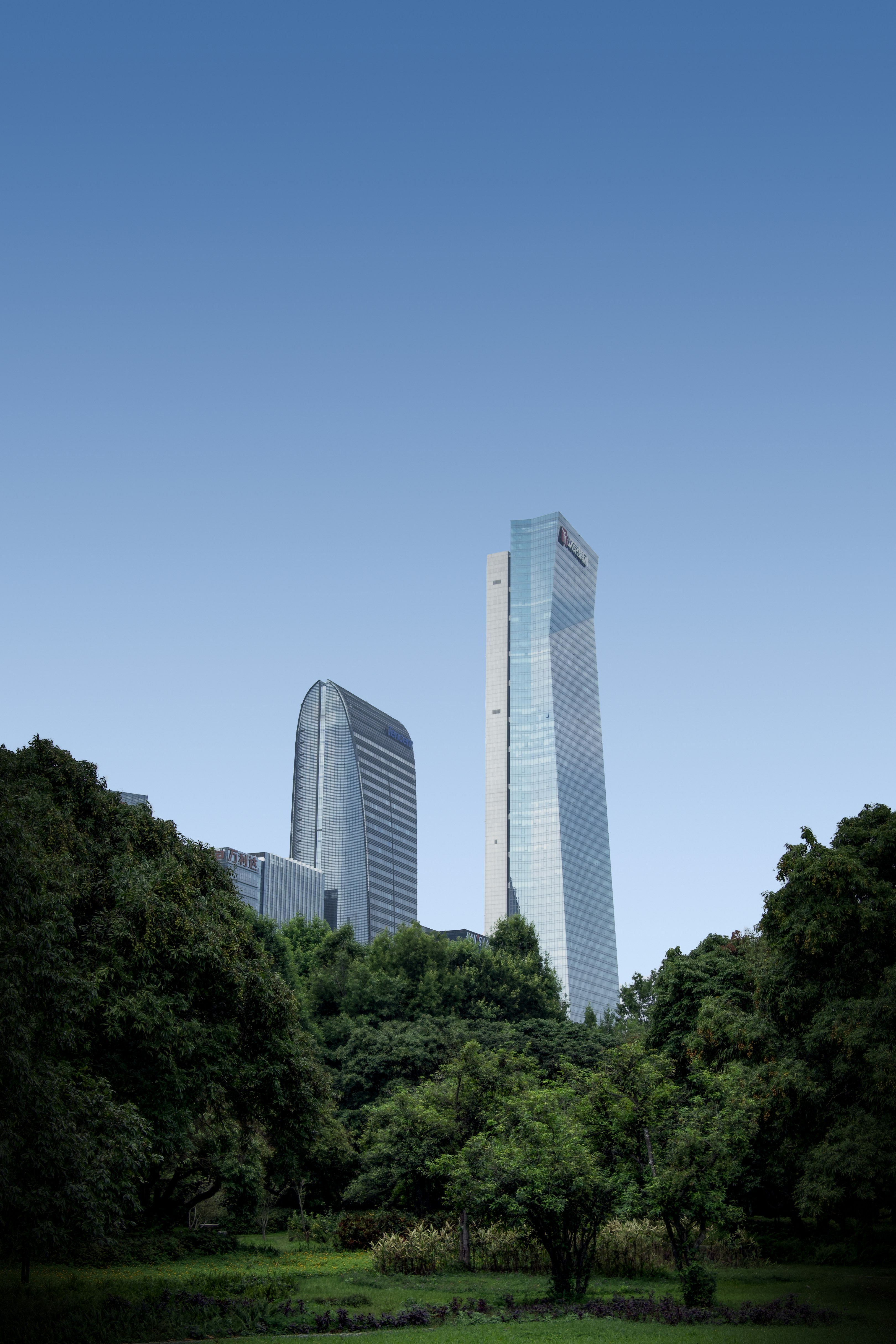 a couple of tall buildings towering over a lush green park