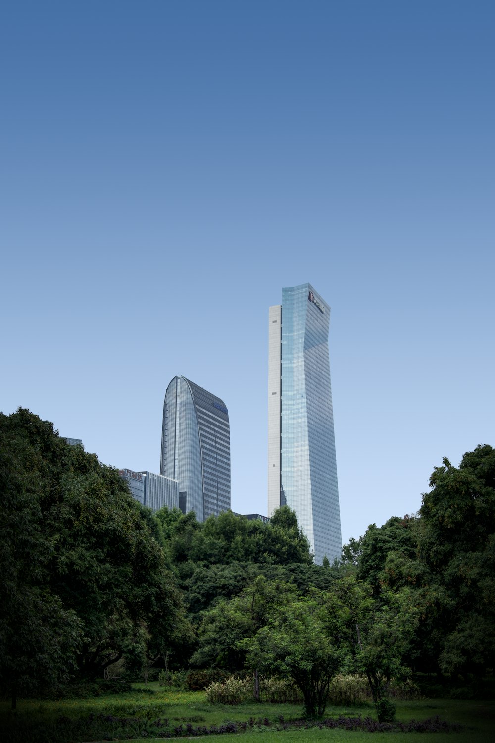 a couple of tall buildings towering over a lush green park