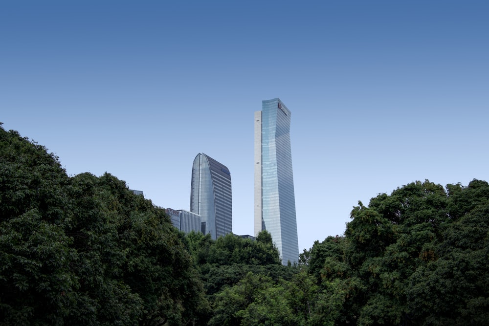 a couple of tall buildings sitting in the middle of a forest