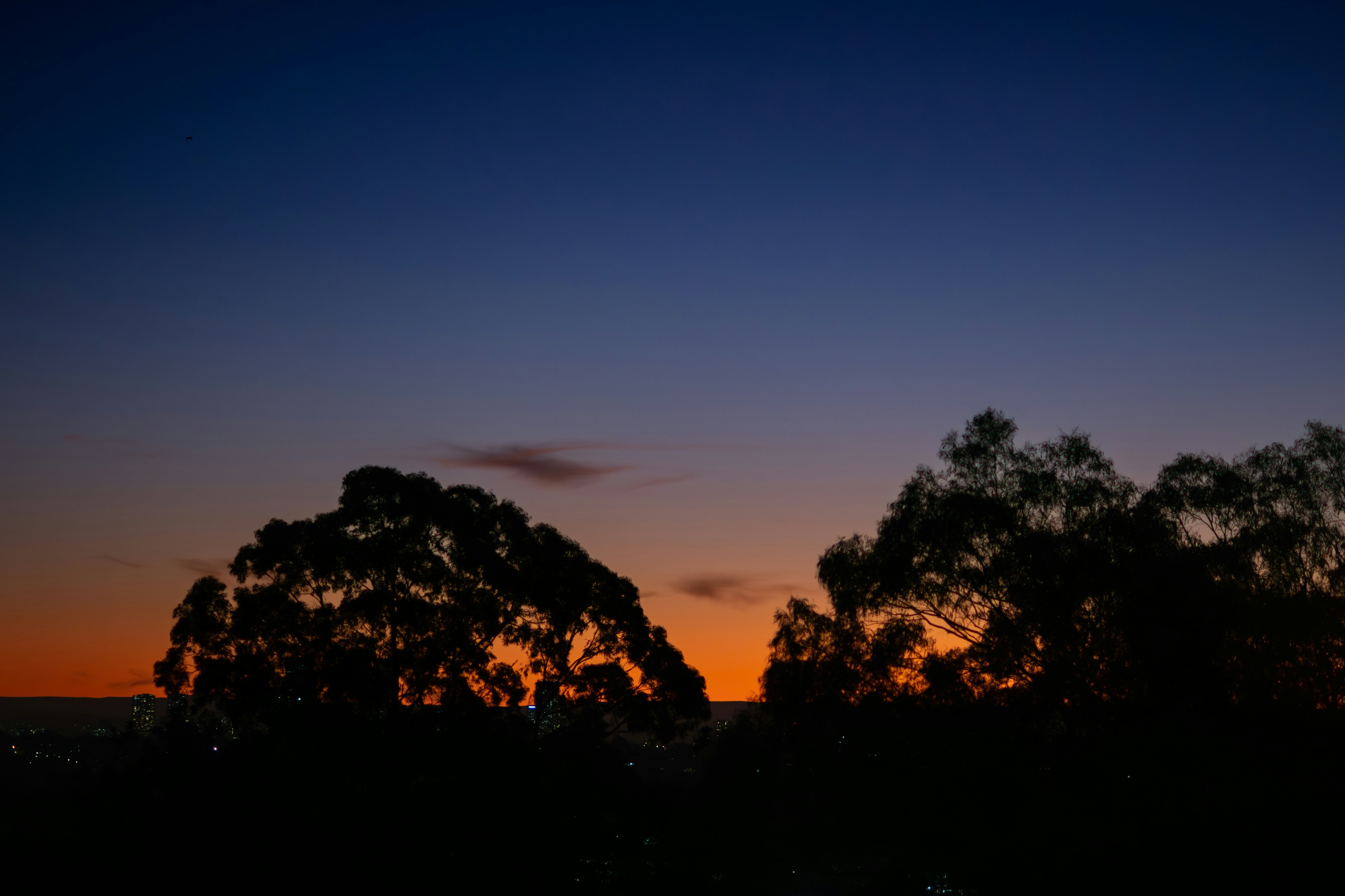 Photo by raunaqsachdev