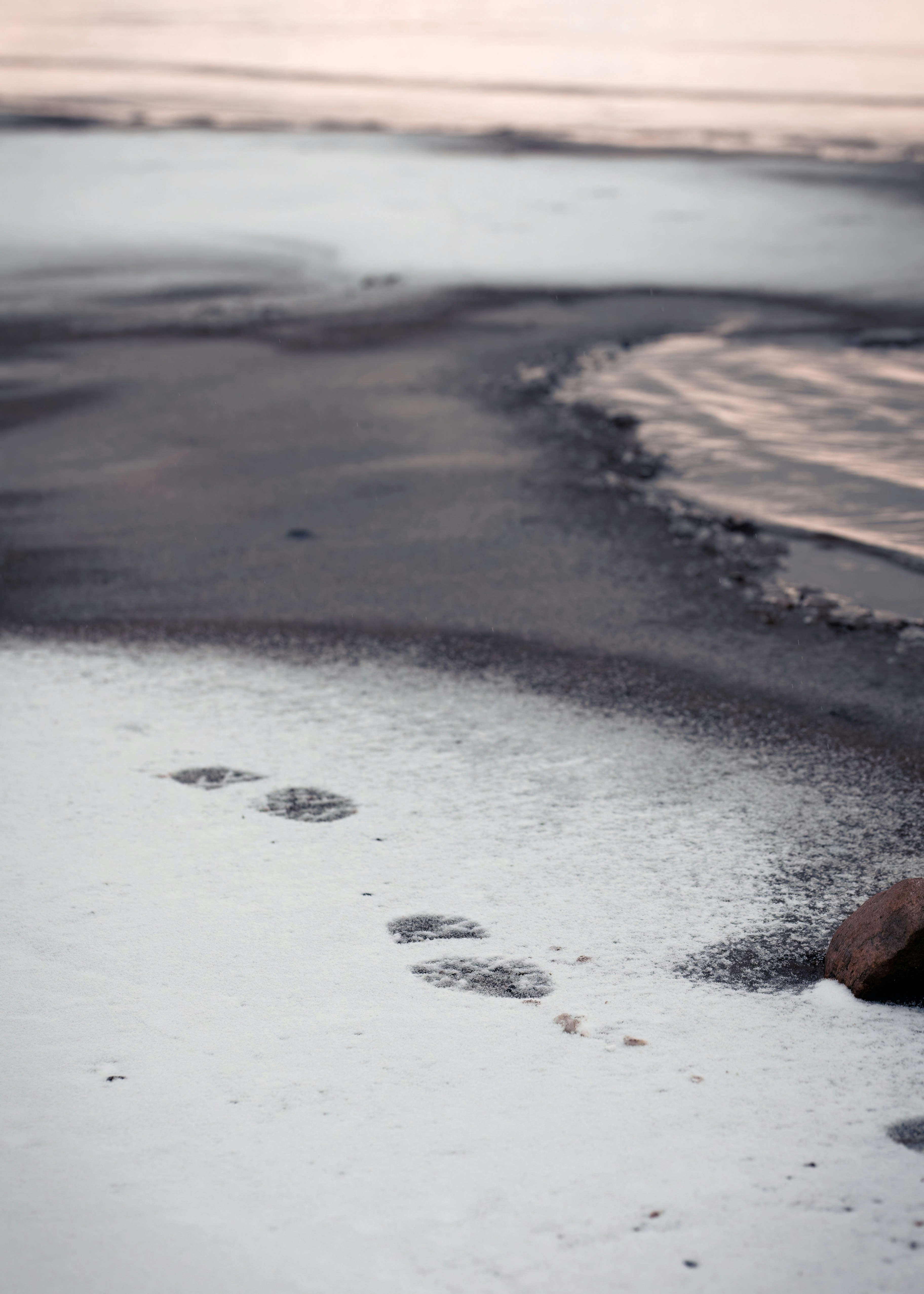 Fußabdrücke im Schnee an einem Strand am Meer