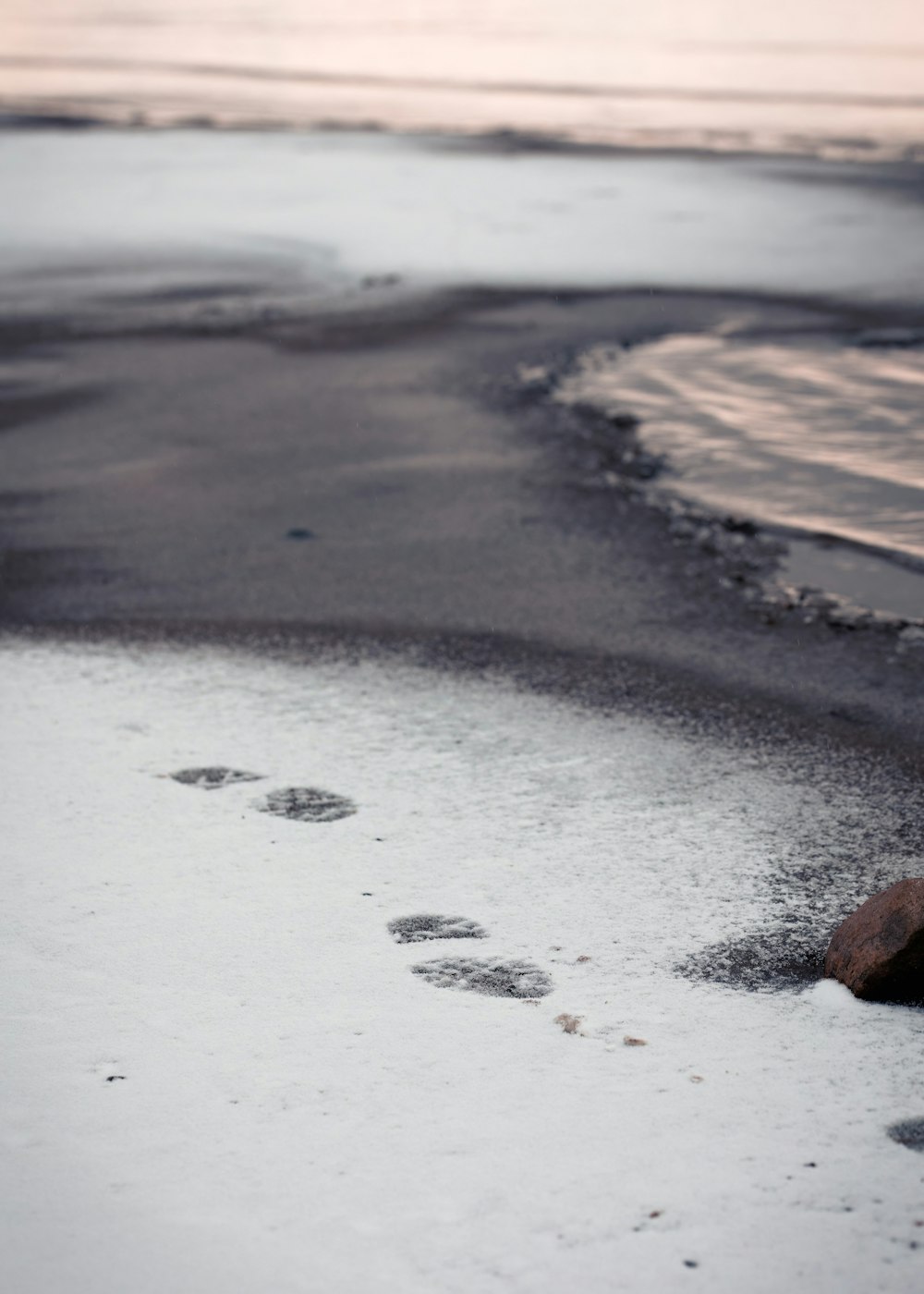 footprints in the snow on a beach next to the ocean