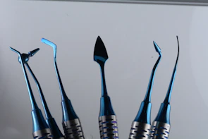 Veterinary instruments arranged neatly on a blue background