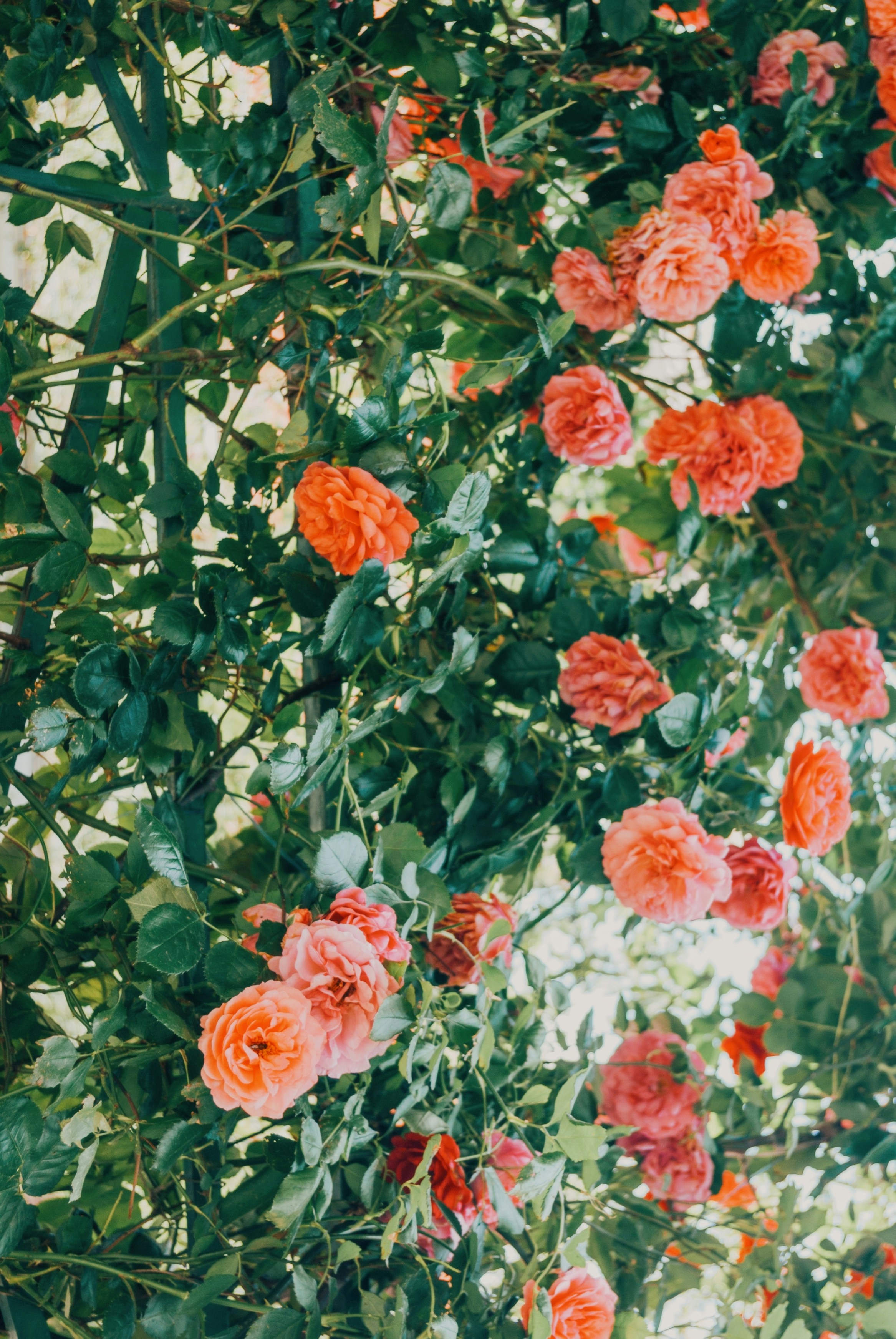 Photo by moonmoons_days