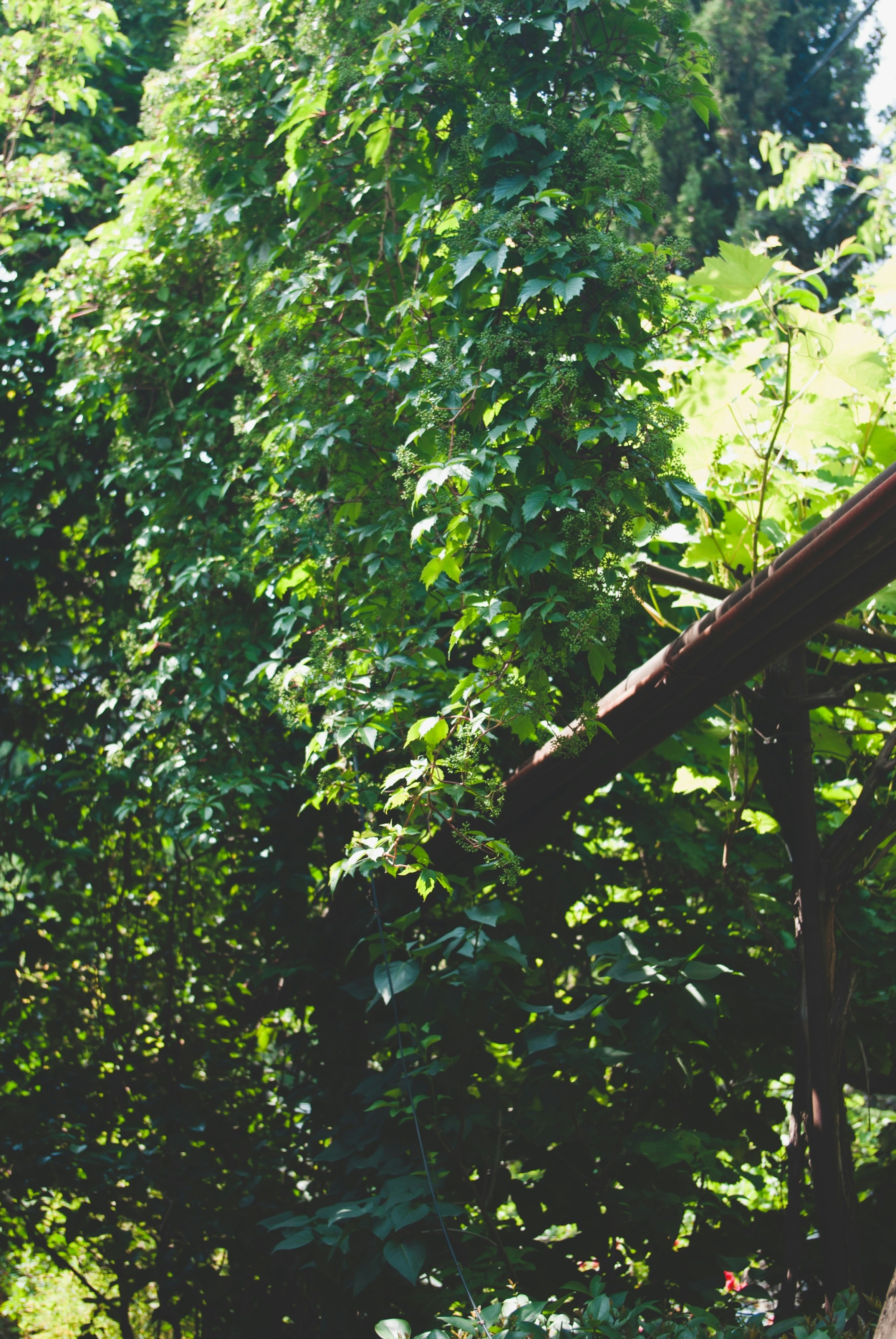 Photo by moonmoons_days