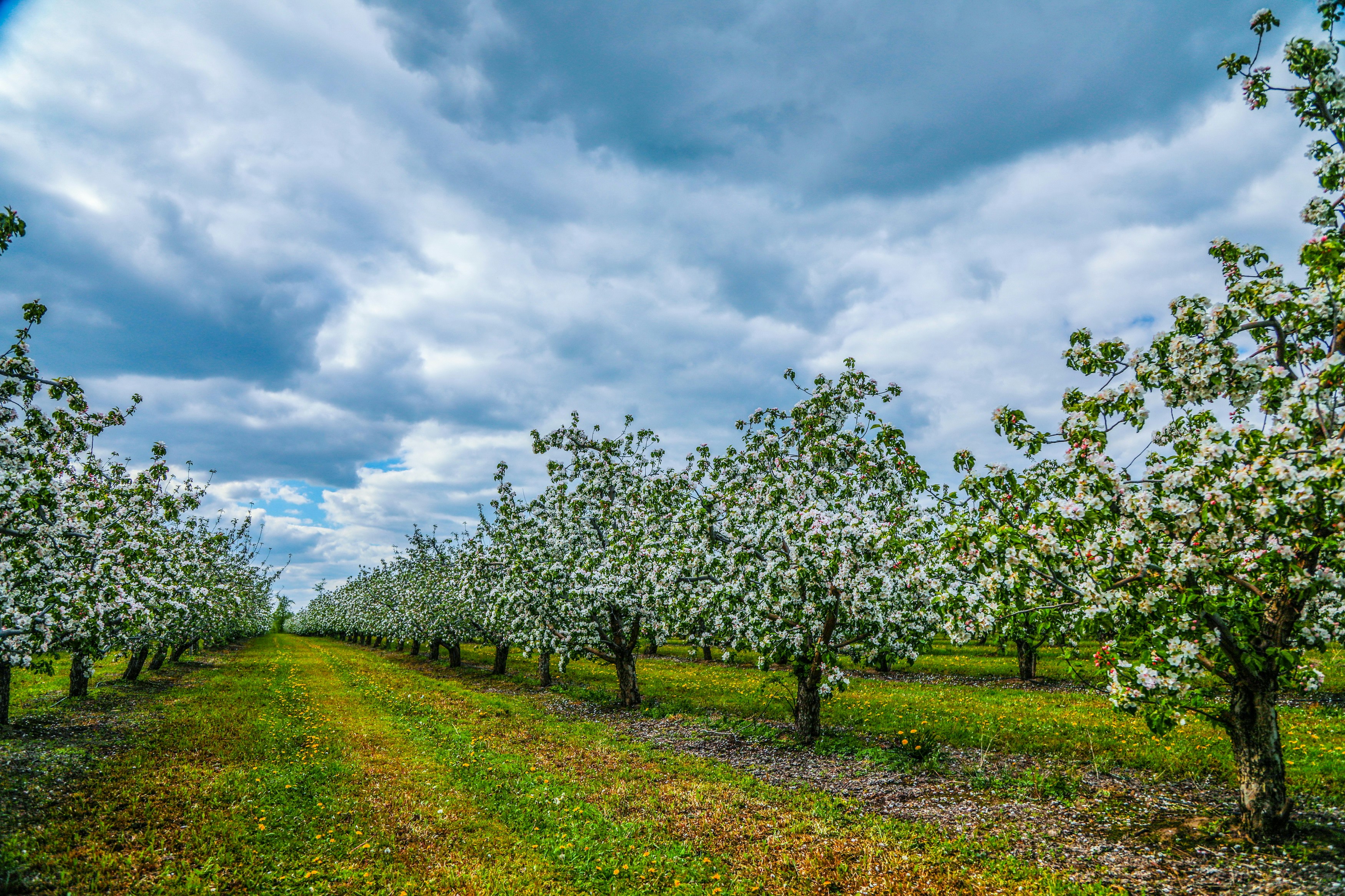 Photo by lipetskaya_zemlya