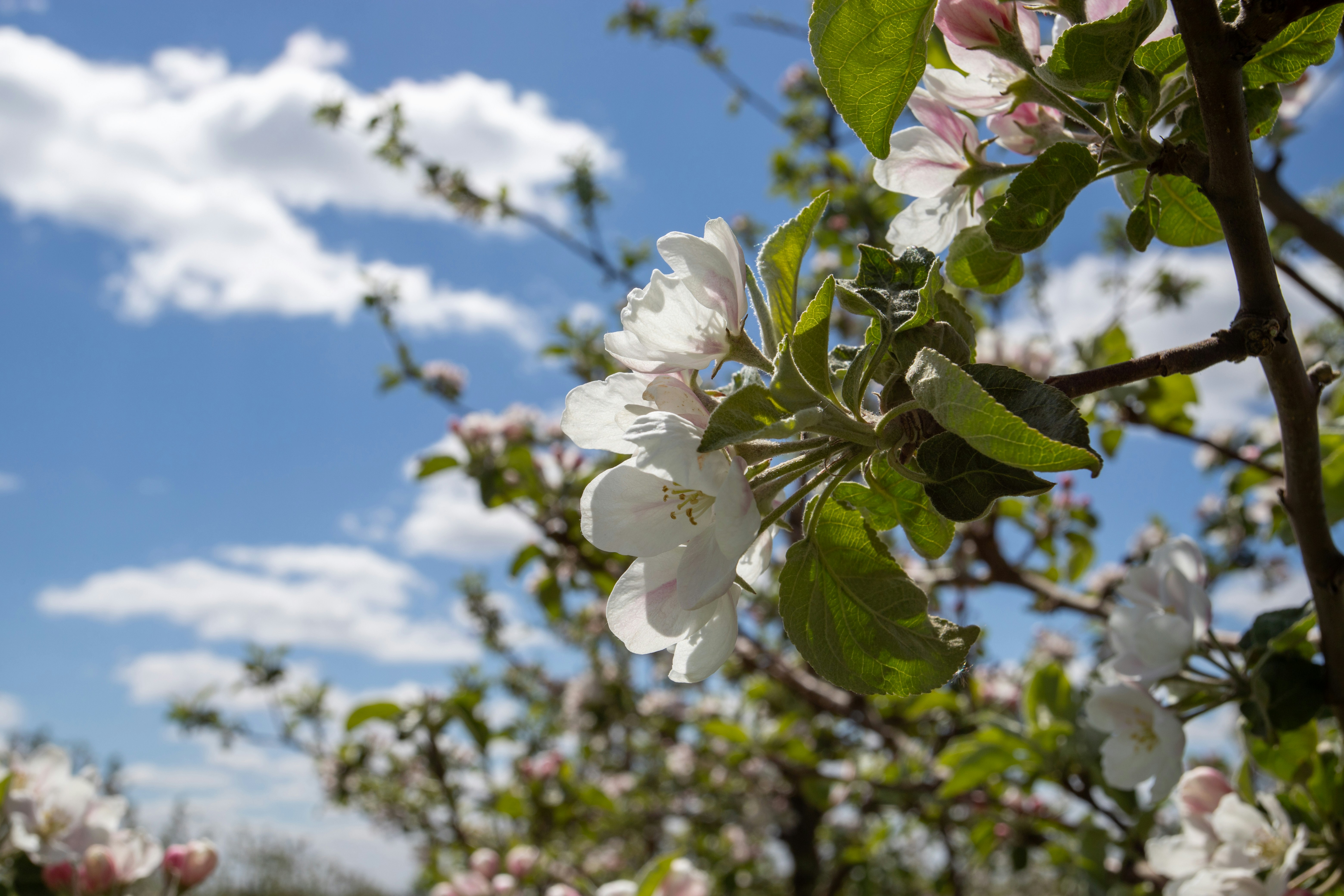 Photo by lipetskaya_zemlya