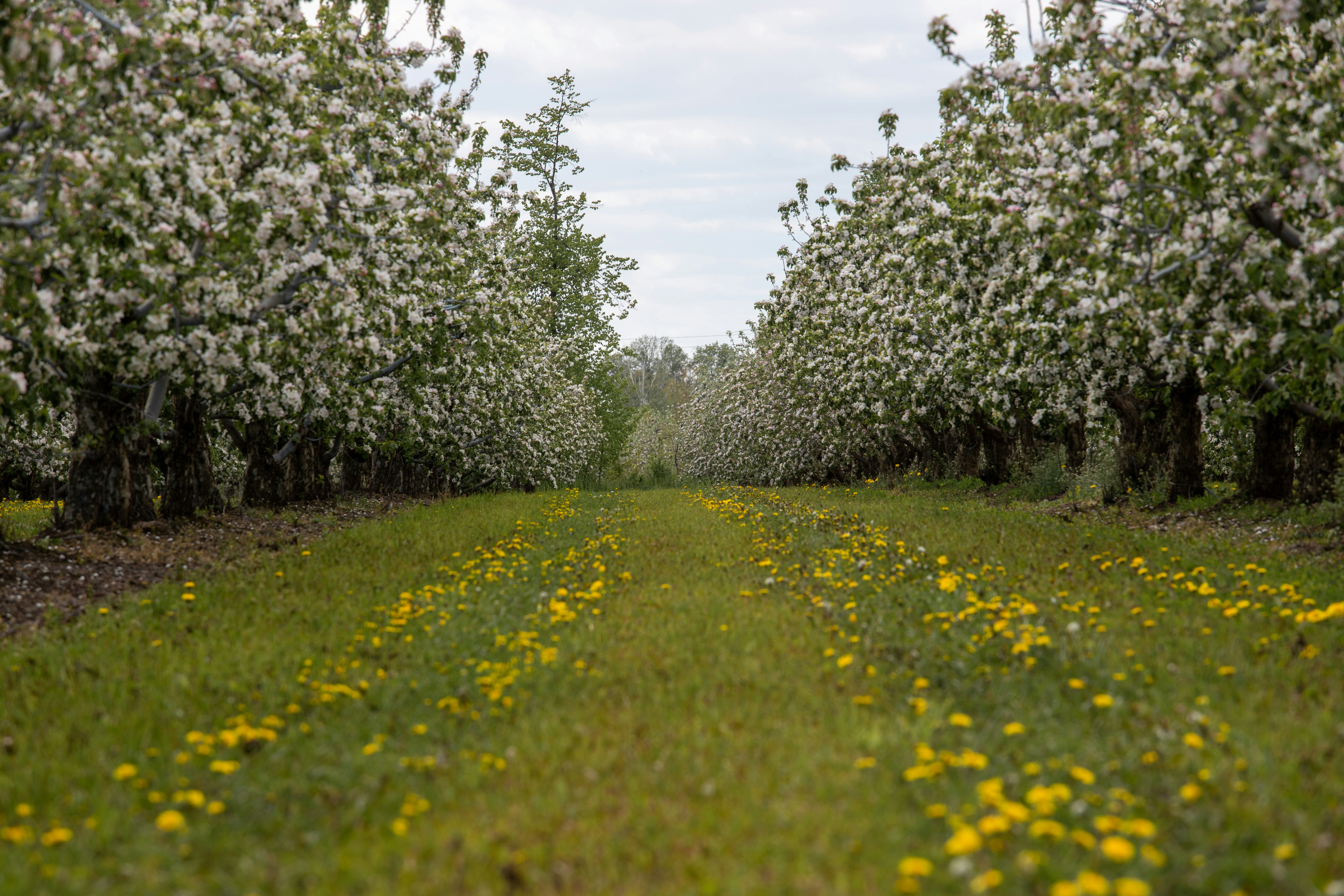 Photo by lipetskaya_zemlya