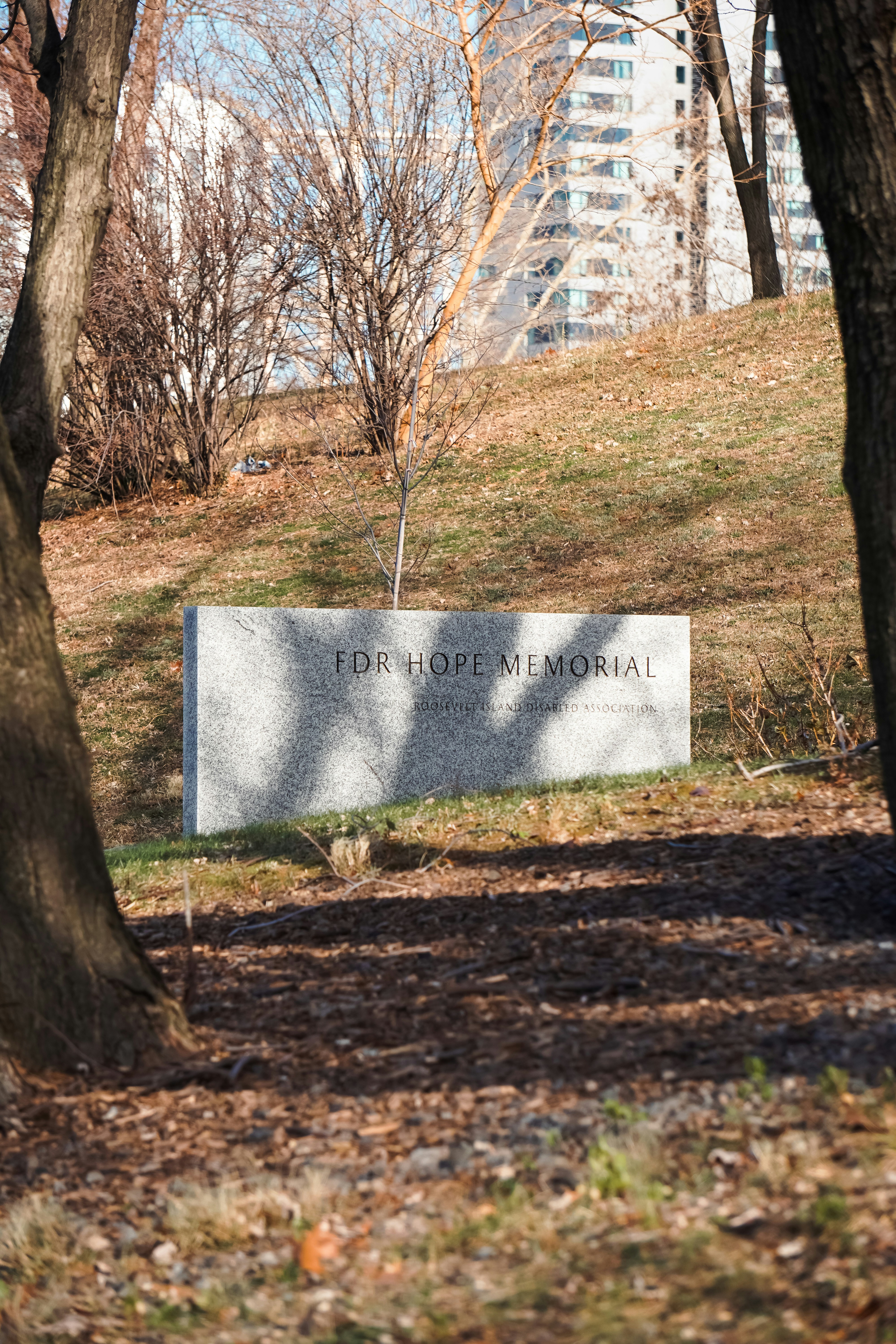 A monument sits in the middle of a park photo – Free Tomb Image on Unsplash