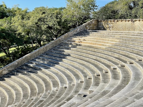 A stone amphitheater with a series of semi-circular, tiered seating rows. The seating is made of stone, and shadows create a pattern along the steps. Lush green trees and vegetation surround the top of the amphitheater, contrasting with the gray of the stone.
