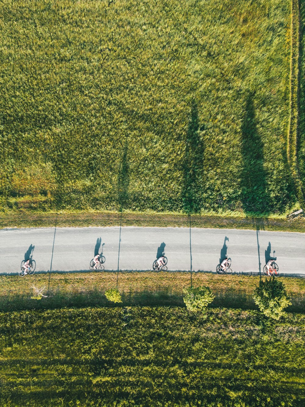 a group of people riding bikes down a road