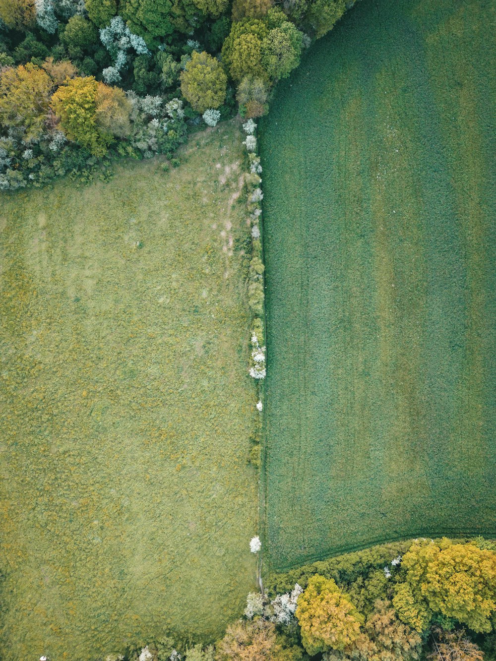 an aerial view of a lush green field