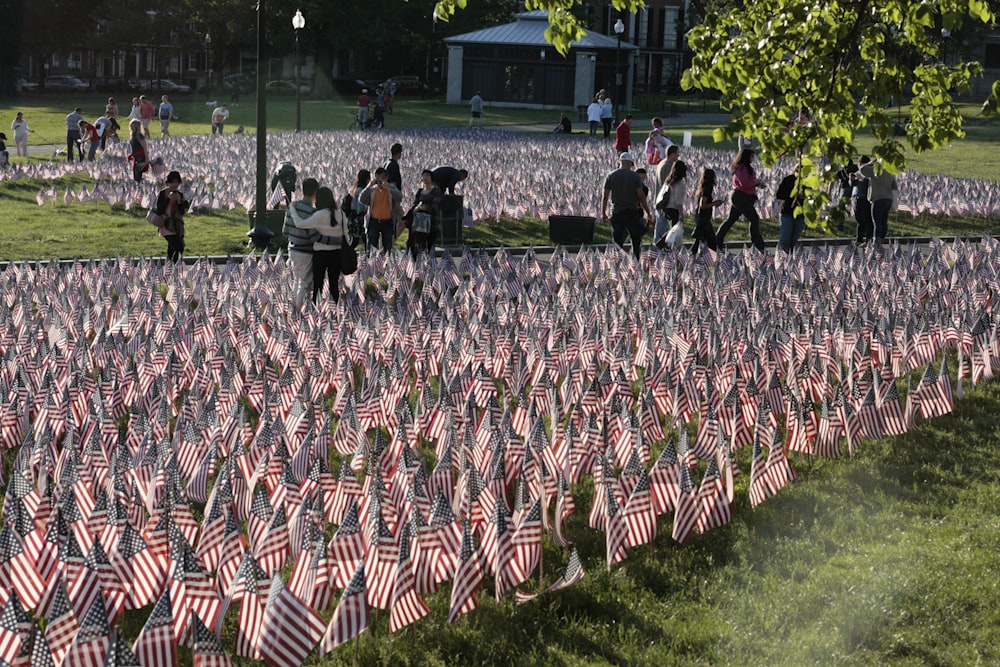 a group of people standing around a field of american flags