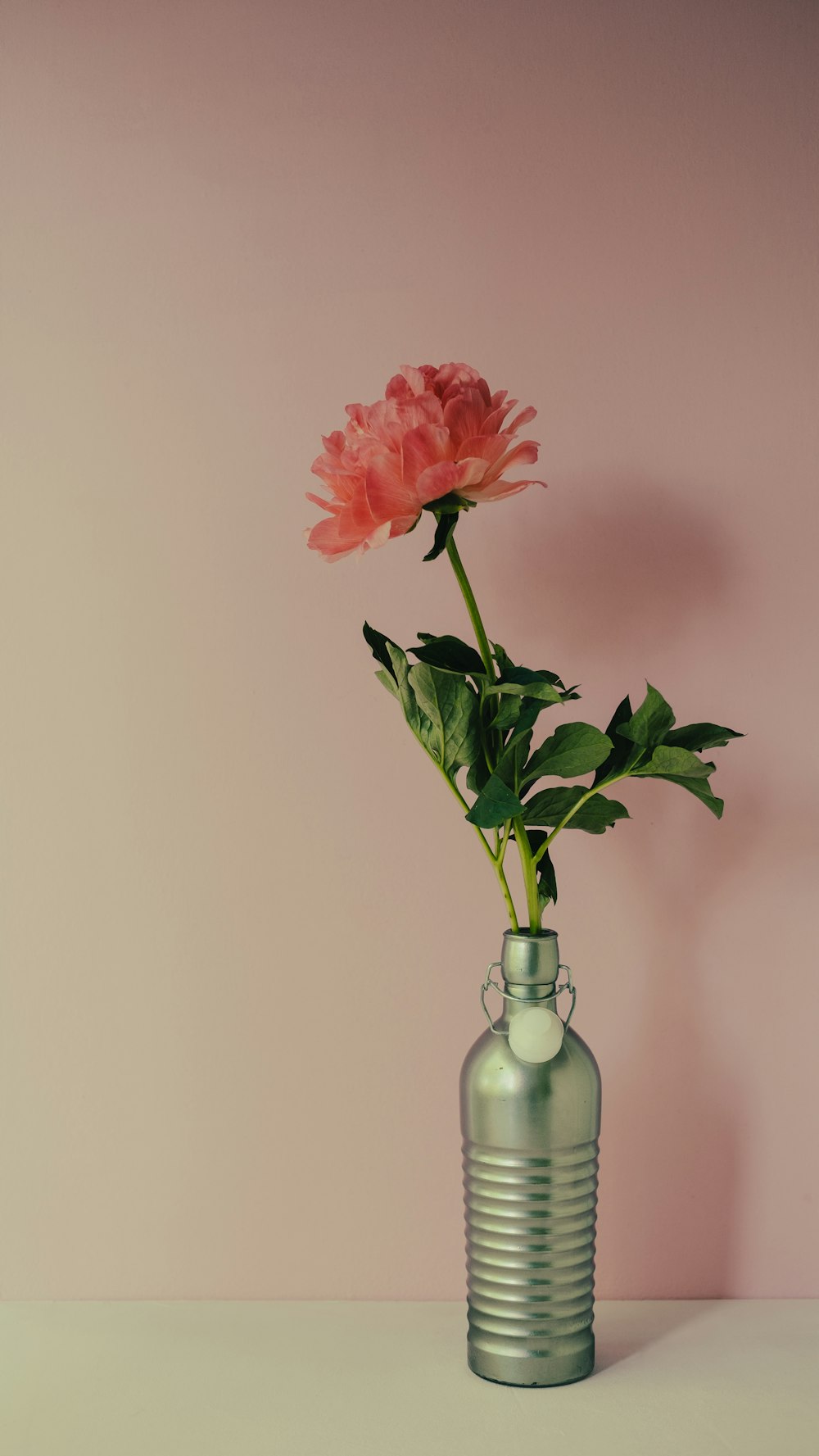 a pink flower in a green vase on a table