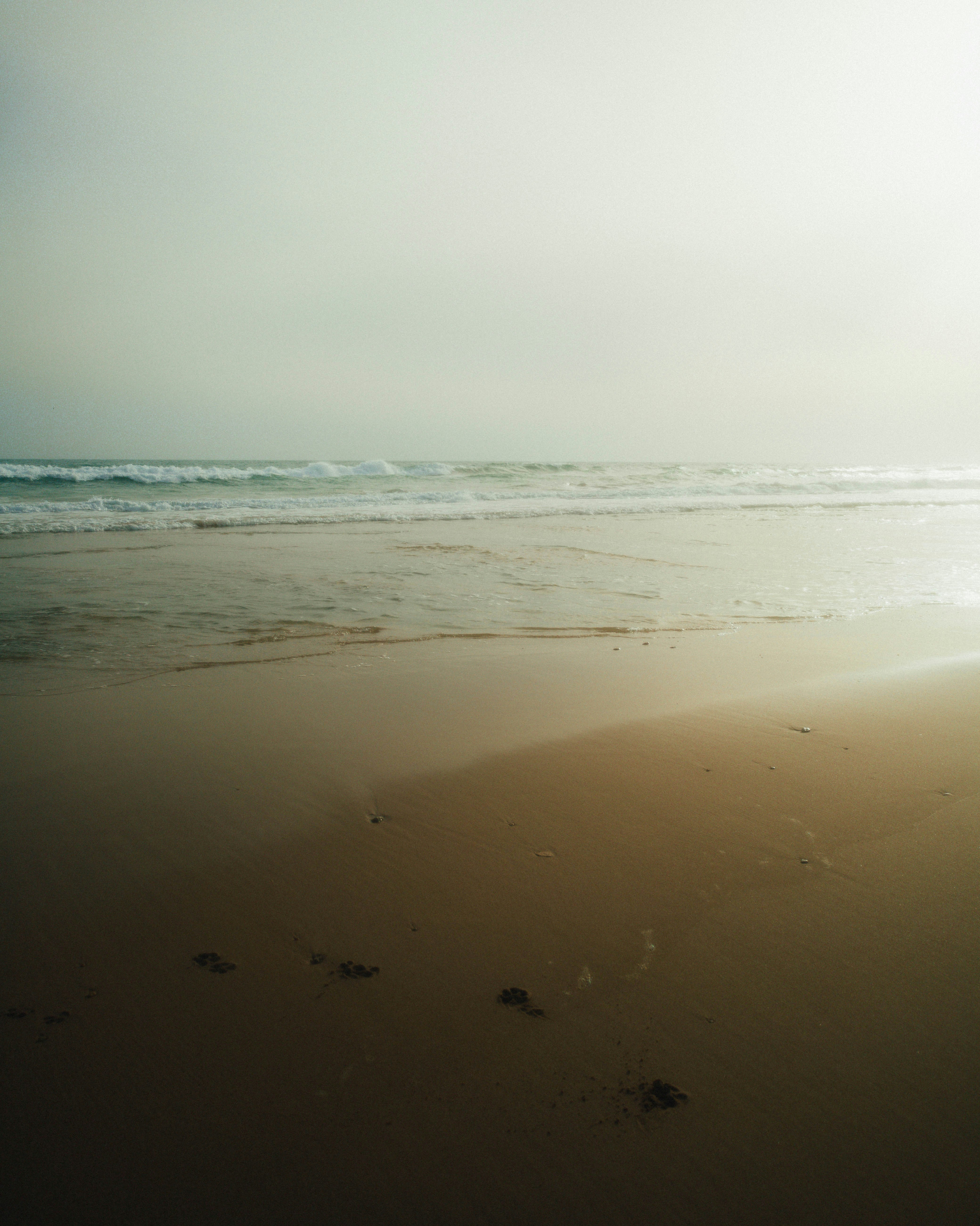 Photo by marianacbras