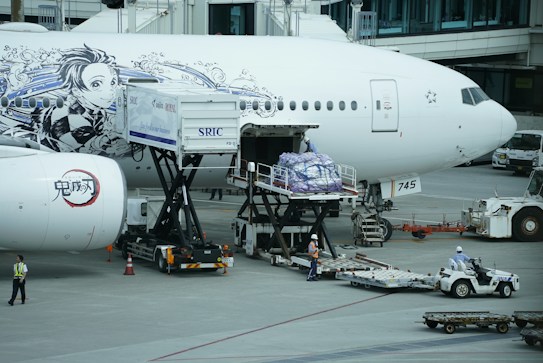 The image depicts an airplane on the tarmac at an airport with ground crew members working around it. The aircraft has elaborate black and white illustrations of animated characters on the fuselage. Cargo or luggage is being loaded into the airplane via specialized equipment, while ground personnel wearing safety gear are managing the process.