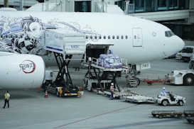The image depicts an airplane on the tarmac at an airport with ground crew members working around it. The aircraft has elaborate black and white illustrations of animated characters on the fuselage. Cargo or luggage is being loaded into the airplane via specialized equipment, while ground personnel wearing safety gear are managing the process.