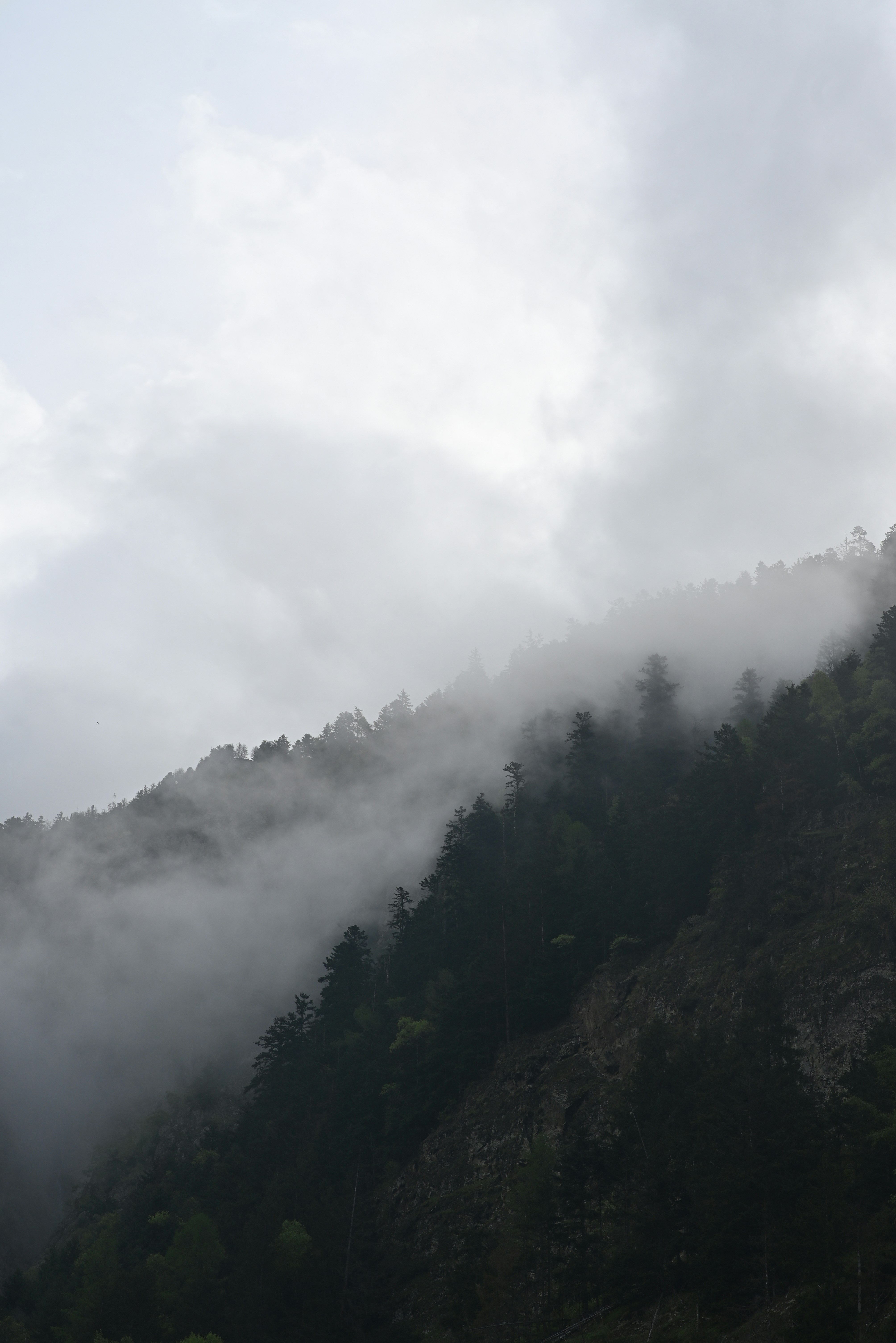 Photo by mortezakhalili