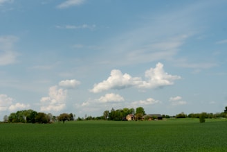 A vast green field with a rustic farmhouse and clear blue skies.