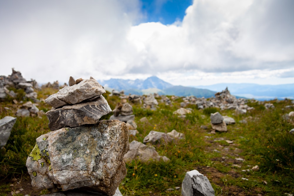 a pile of rocks sitting on top of a lush green field