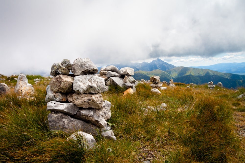 a pile of rocks sitting on top of a grass covered hillside