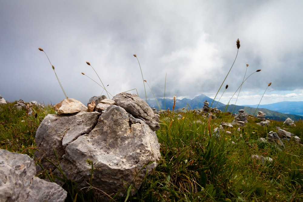 a large rock sitting on top of a lush green field