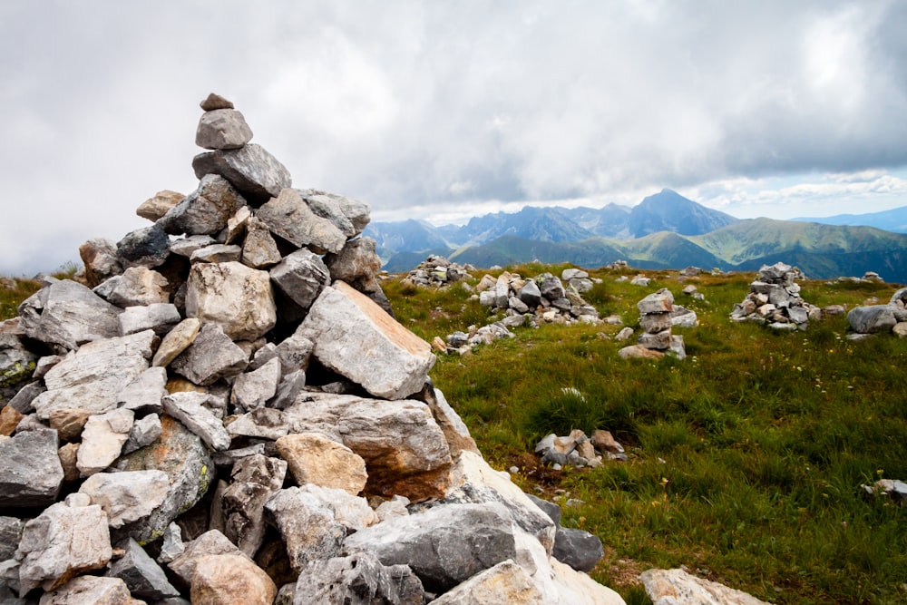 a pile of rocks sitting on top of a lush green field