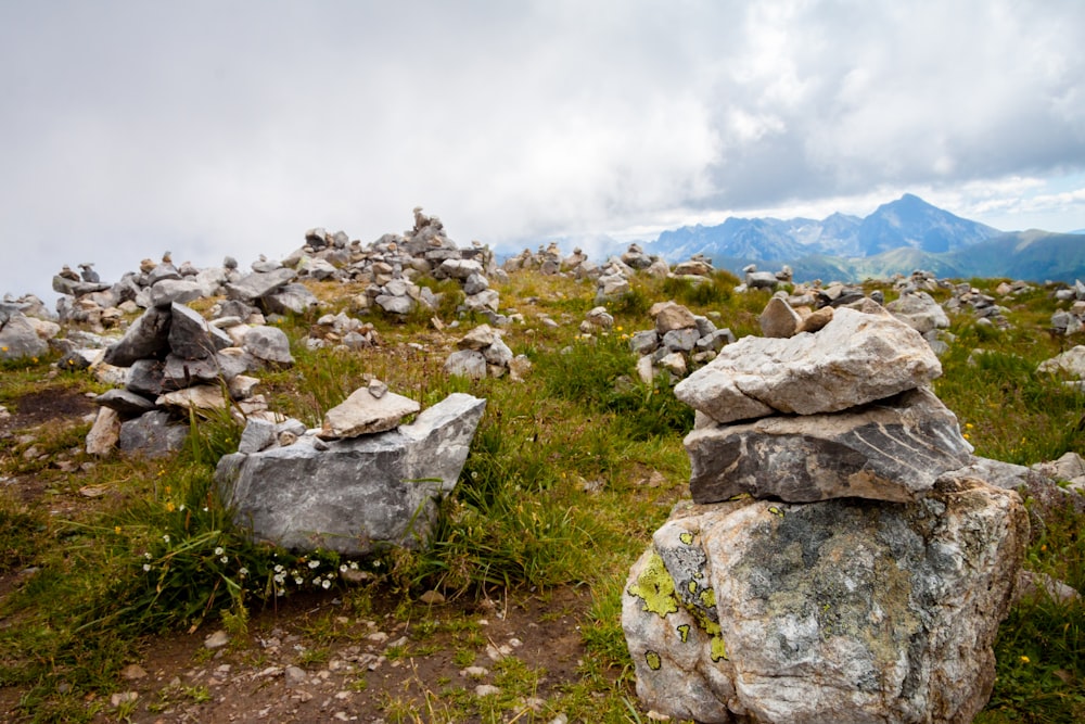 rocks and grass on the side of a mountain