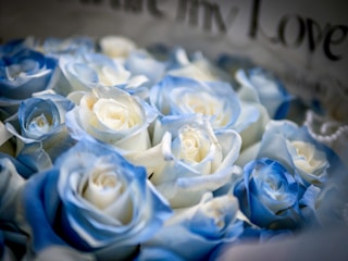 Soft pastel blue flowers arranged with artistic love-themed edits.