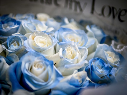 Soft pastel blue flowers arranged with artistic love-themed edits.