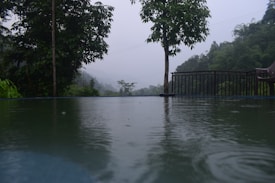 The image portrays a serene scene with a calm water surface reflecting the sky. Trees with lush green foliage surround the area under an overcast sky, creating a tranquil and misty atmosphere. A wooden or metal railing is visible to the right, suggesting the presence of a deck or patio area.