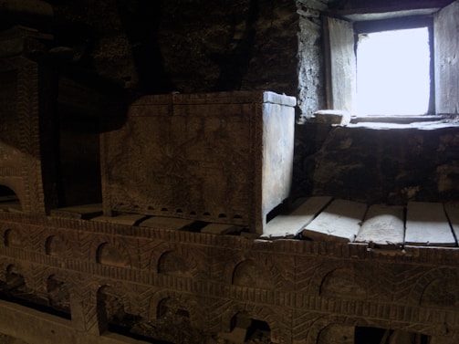 An open antique chest filled with mysterious objects under dappled forest light.