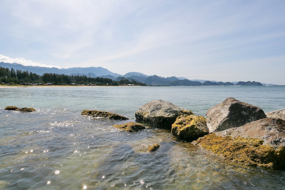 a body of water with rocks in it