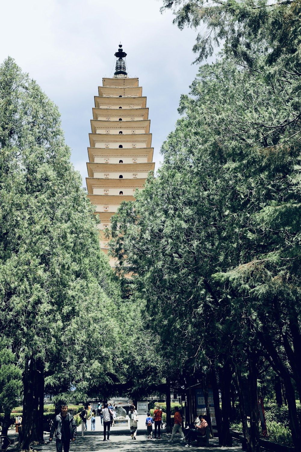 a tall tower towering over a forest filled with trees