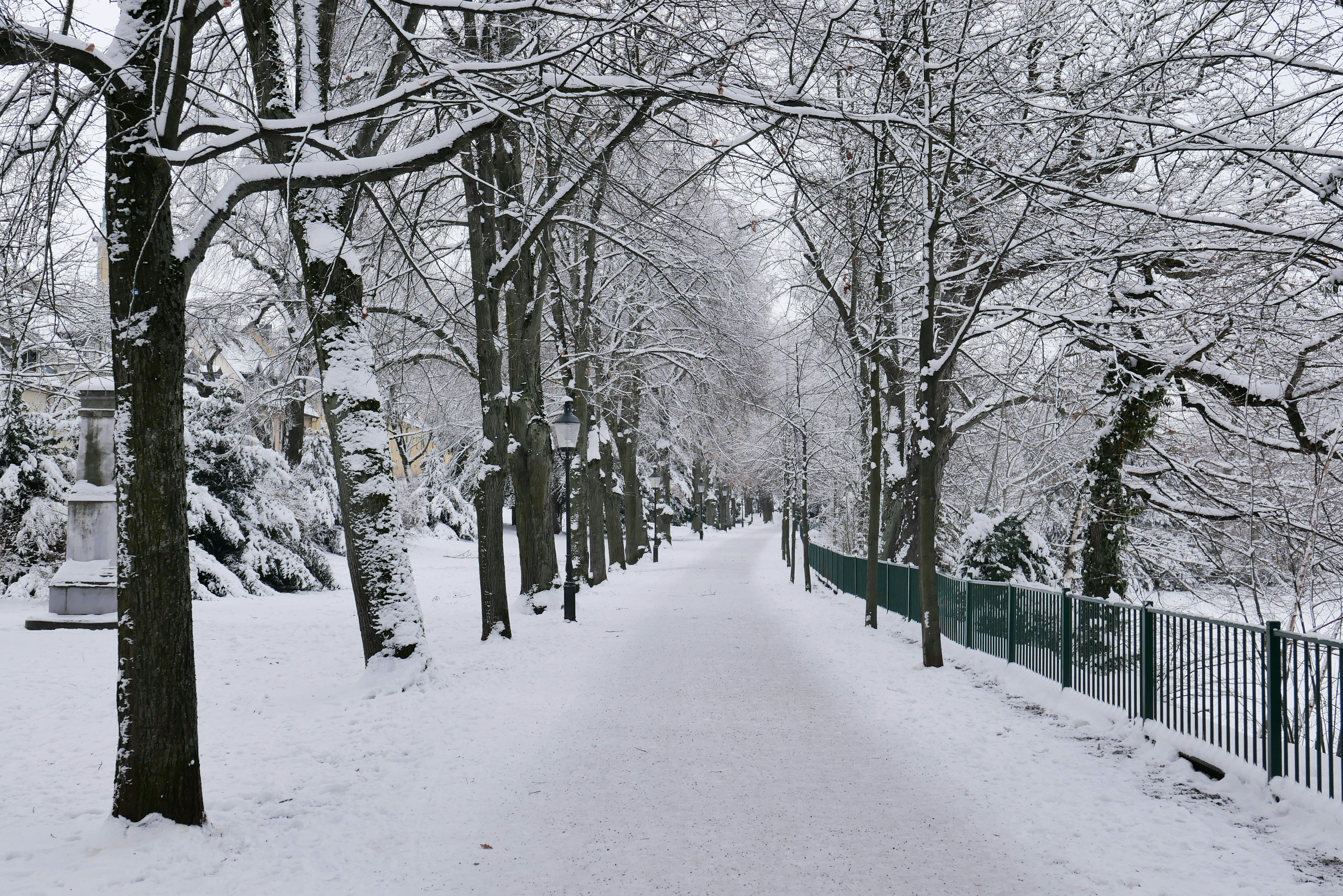 Albertpark in winter. Freiberg, Germany. To support my work, please subscribe to my youtube channel: youtube.com/@berkeliling_keliling_