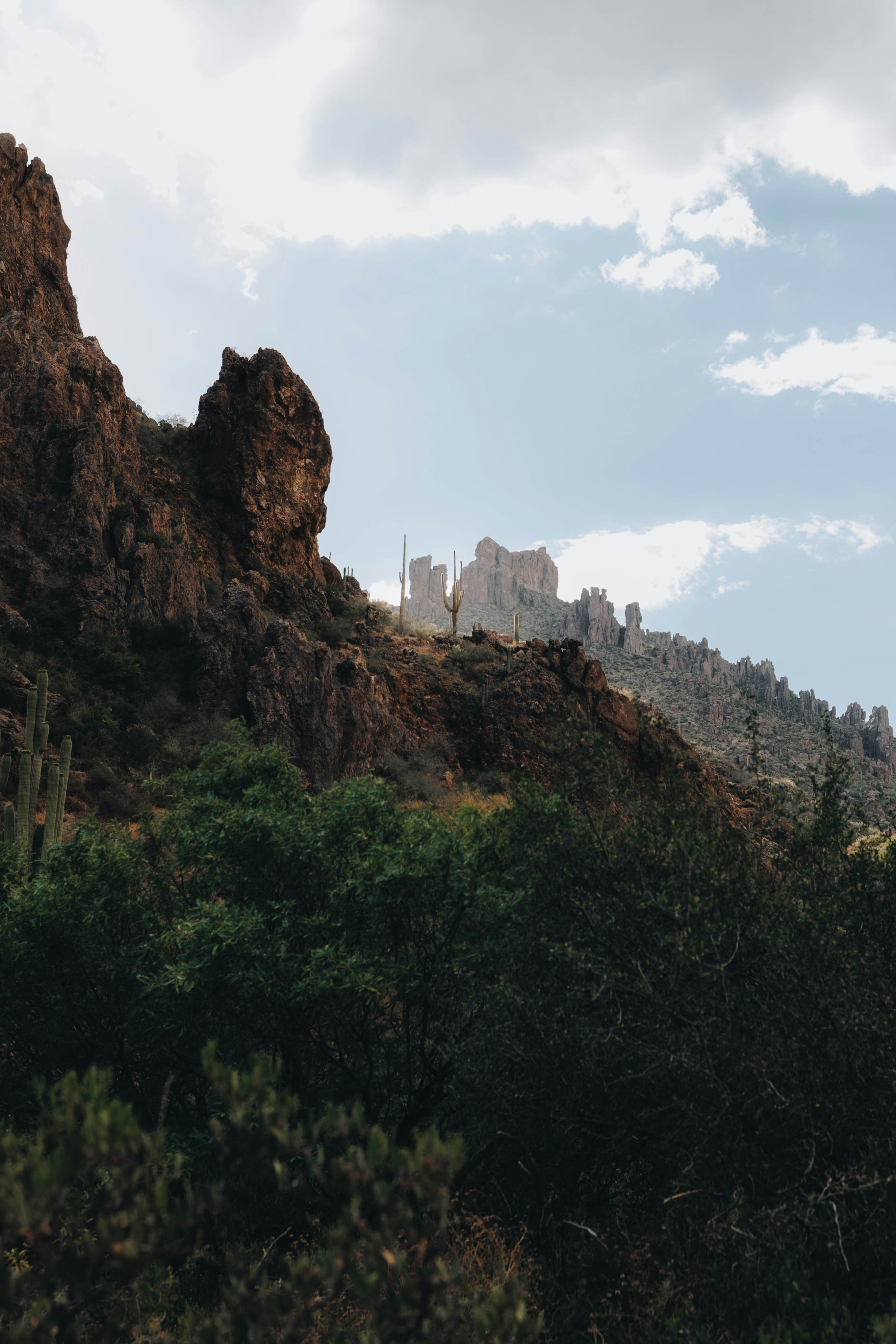 Photo by jeffersonsees